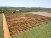 12,5 HA CƯ BAO - ĐƯỜNG TRÁNH BUÔN HỒ