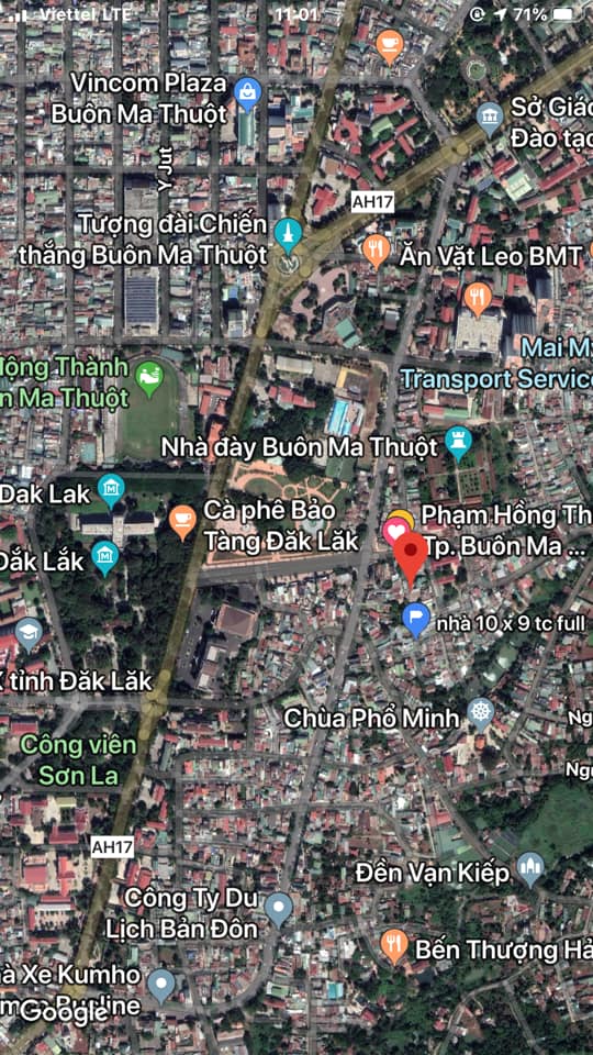 50 3 phanhongthai
